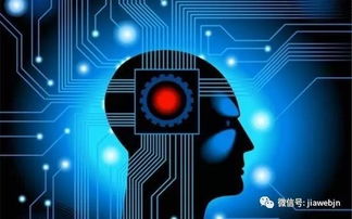 同质化格局下，AI能否引爆智能手机行业创新？——人工智能应用软件开发的挑战与机遇